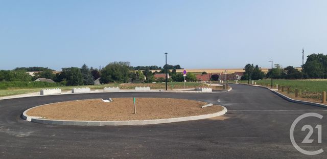 terrain - CHAMPMOTTEUX - 91