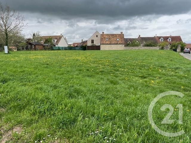 terrain - LES GRANGES LE ROI - 91