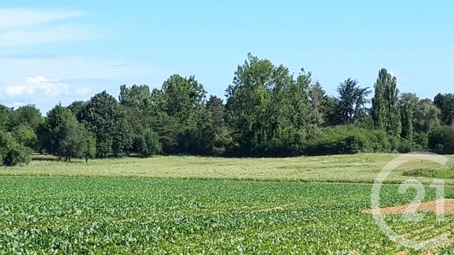 terrain - BOULLAY LES TROUX - 91