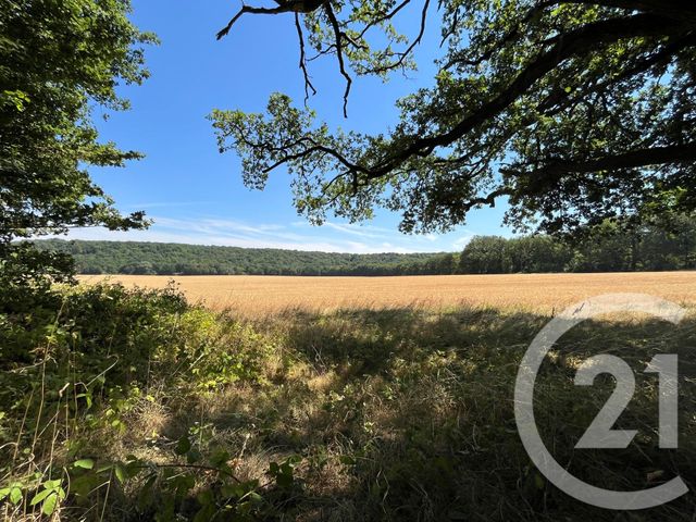 Terrain &agrave; vendre - 980 m2 - Dourdan - 91 - ILE-DE-FRANCE