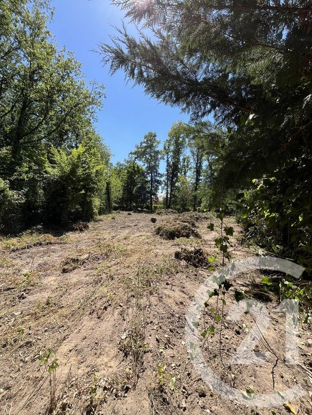 Terrain &agrave; vendre - 980 m2 - Dourdan - 91 - ILE-DE-FRANCE